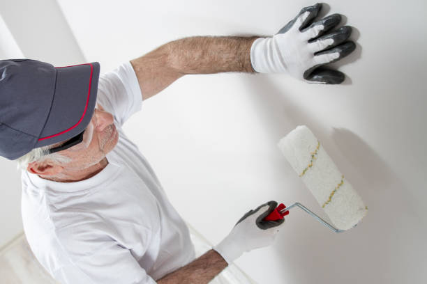 Best Post-Remediation Verification Testing  in Ofallon, MO